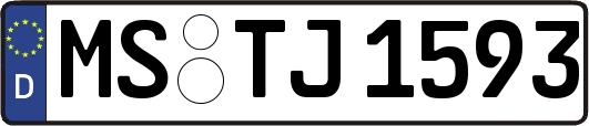 MS-TJ1593
