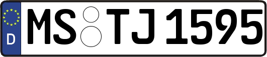 MS-TJ1595