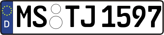 MS-TJ1597