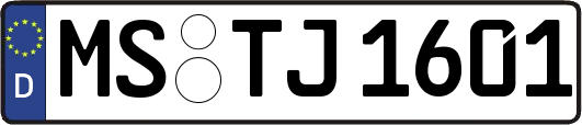 MS-TJ1601