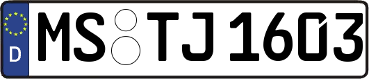 MS-TJ1603