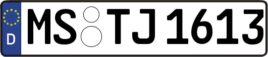 MS-TJ1613
