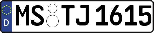 MS-TJ1615