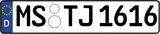 MS-TJ1616