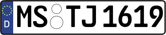 MS-TJ1619