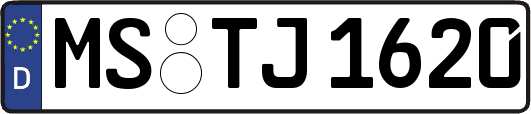 MS-TJ1620