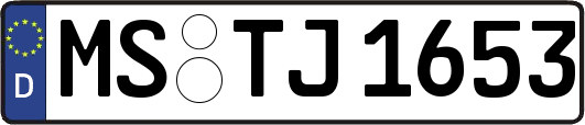 MS-TJ1653