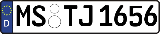 MS-TJ1656