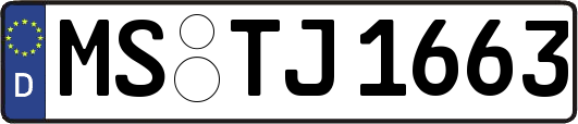 MS-TJ1663