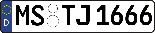 MS-TJ1666