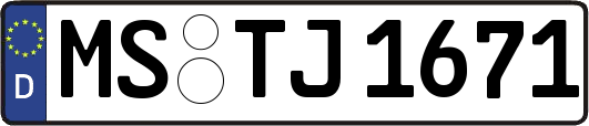 MS-TJ1671