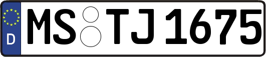 MS-TJ1675
