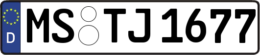 MS-TJ1677