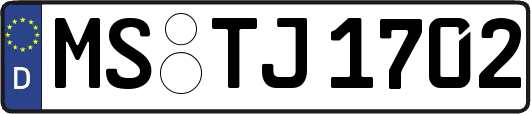 MS-TJ1702