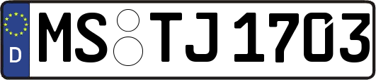 MS-TJ1703