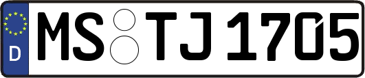 MS-TJ1705