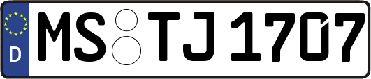 MS-TJ1707