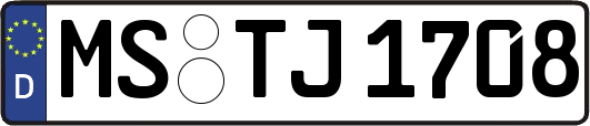 MS-TJ1708