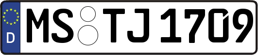 MS-TJ1709