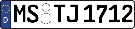 MS-TJ1712