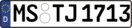 MS-TJ1713