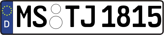MS-TJ1815