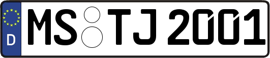 MS-TJ2001