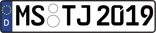 MS-TJ2019