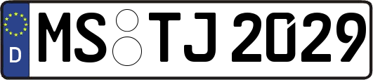 MS-TJ2029