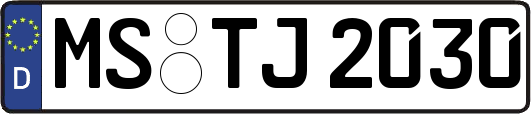 MS-TJ2030