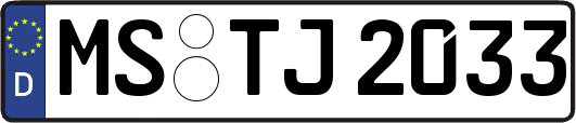MS-TJ2033
