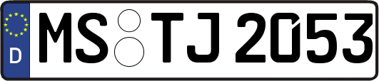 MS-TJ2053