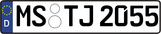 MS-TJ2055