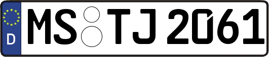 MS-TJ2061