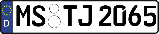 MS-TJ2065