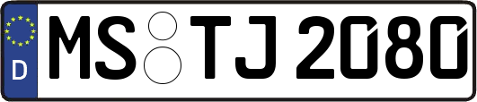 MS-TJ2080