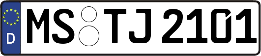 MS-TJ2101