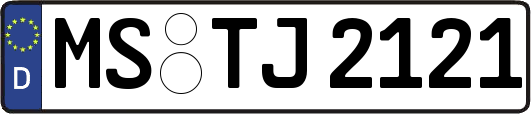 MS-TJ2121