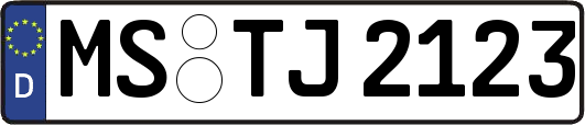 MS-TJ2123