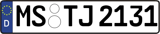 MS-TJ2131