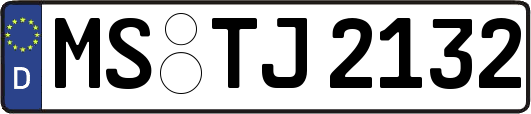 MS-TJ2132