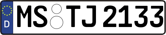 MS-TJ2133