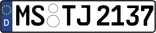 MS-TJ2137