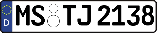 MS-TJ2138