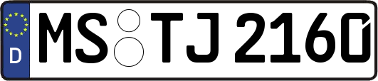 MS-TJ2160