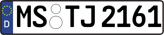 MS-TJ2161