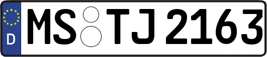 MS-TJ2163
