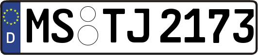 MS-TJ2173