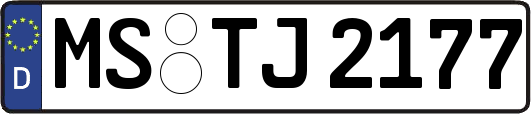 MS-TJ2177