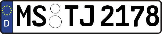 MS-TJ2178